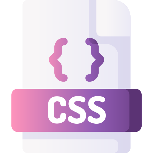  css logo